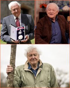 David Attenborough Death, Obituary: British Naturalist and Broadcaster, Dies at 98